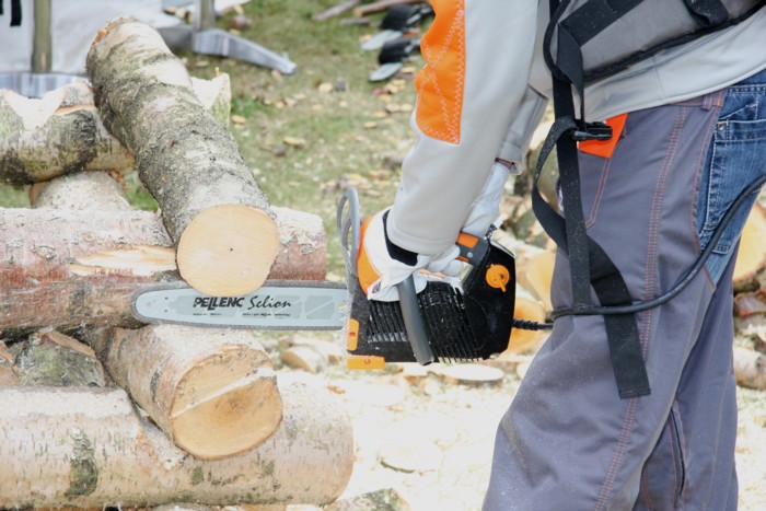 pellenc_chainsaw_top