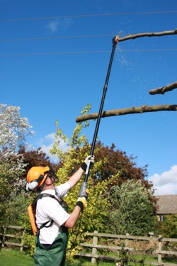 pellenc_pole_saws_side