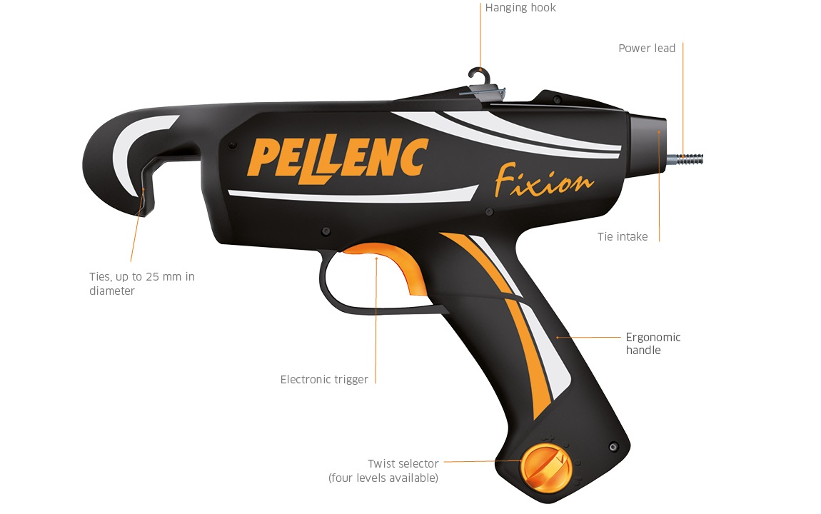 Fixion-IL-ENG