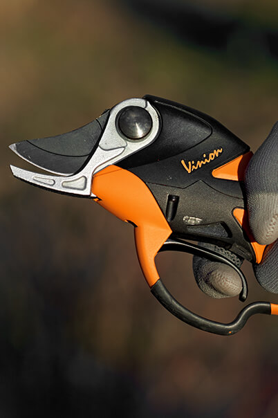 pellenc pruner