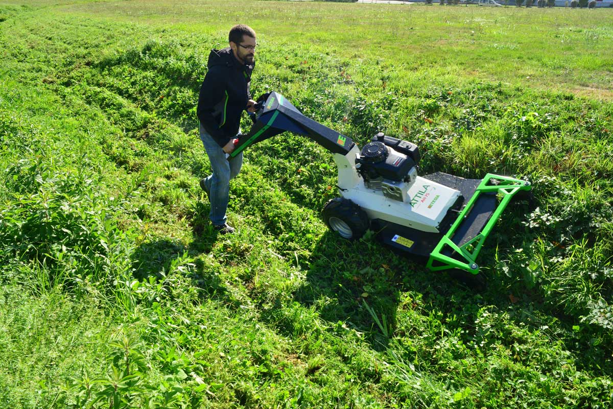 Etesia AH75